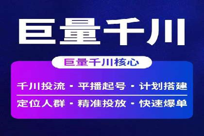 百度SEO推广公司成功案例：助力企业实现流量暴增